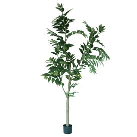 人工観葉植物 コーヒーの木 ポット 205（1個入り）992070 庭木ポット （代引き不可） インテリア フェイクグリーン 造花 GARDEN PLANT （p45）