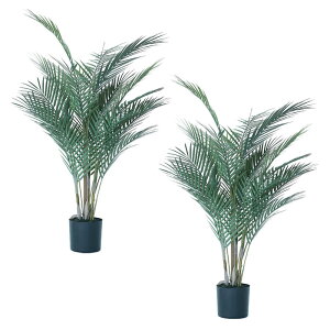 lHϗtA AJV |bg 90i2j992150 ϗtA isj CeA tFCNO[  GARDEN PLANT ip20j