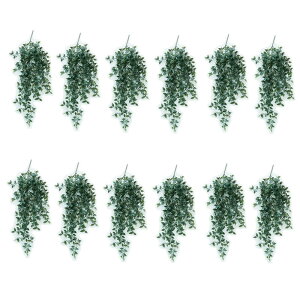 lHϗtA tBJXVO nLOubV 82i12j992210 ubV isj CeA tFCNO[  HANKING BUSH ip118j