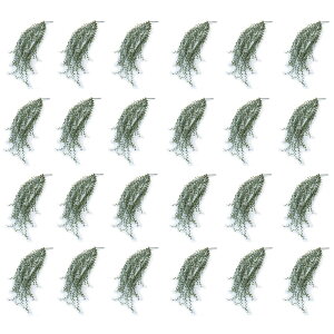 lHϗtA fBXLfBA nMOubV 77i24j992230 ubV isj CeA tFCNO[  HANKING BUSH ip111j