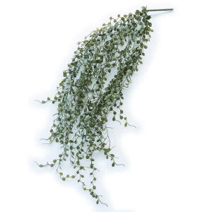 lHϗtA fBXLfBA nMOubV 77i1j992231 ubV isj CeA tFCNO[  HANKING BUSH ip111j