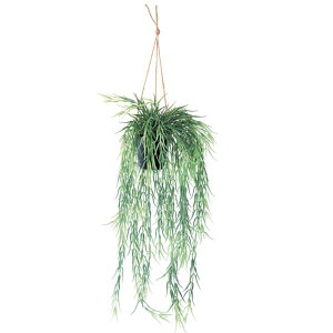 �l�H�ϗt�A�� ���v�T���XFL �n���M���O �|�b�g 90�i1����j992451 �݂邵�^�C�v �i������s�j �C���e���A �t�F�C�N�O���[�� ���� HANGING �ip101�j