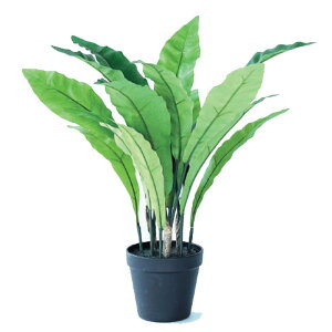 lHϗtA AXvjE |bg 45i1j992601 ϗtA isj CeA tFCNO[ POT INDOOR ip29j