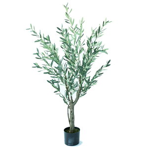 lHϗtA I[u |bg 150i1j992641 ؃|bg isj CeA tFCNO[  WREATH ip13j