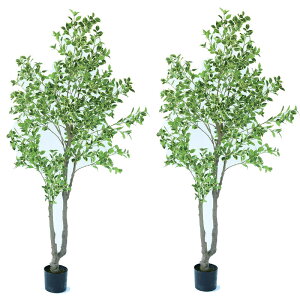 lHϗtA xW~ |bg 210i2j992670 ؃|bg isj CeA tFCNO[  WREATH ip7j