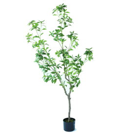 人工観葉植物 アセビ ポット 150（1個入り）992701 庭木ポット （代引き不可） インテリア フェイクグリーン 造花 WREATH （p11）