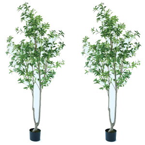 lHϗtA AZr |bg 210i2j992710 ؃|bg isj CeA tFCNO[  WREATH ip11j