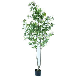 lHϗtA AZr |bg 210i1j992711 ؃|bg isj CeA tFCNO[  WREATH ip11j