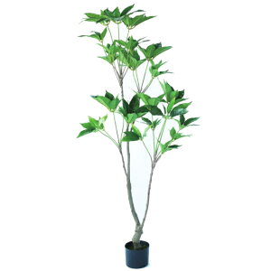 lHϗtA cs^TX |bg 150i1j992721 ؃|bg isj CeA tFCNO[  WREATH ip9j