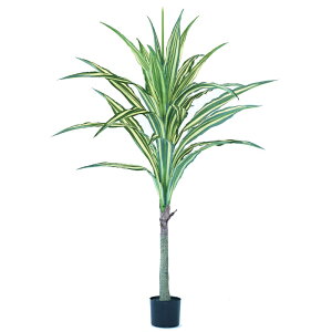 lHϗtA hZi [lbL? |bg 150i1j992761 ؃|bg isj CeA tFCNO[  WREATH ip55j