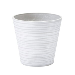 CeA |bgJo[ GRth[|bg 31 zCg(1)29cm iP211-cd3129-1) isj PKC8pJo[ fBXvC