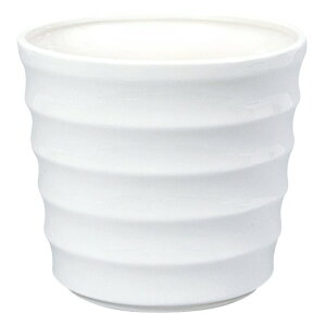 CeA |bgJo[ j[ILX S VCj[zCg(1)20.5cm iP212-cx1605-1) isj 5pJo[ fBXvC