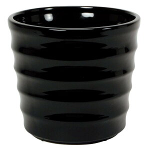 CeA |bgJo[ j[ILX S VCj[ubN(1)20.5cm iP212-cx1605-20) isj 5pJo[ fBXvC