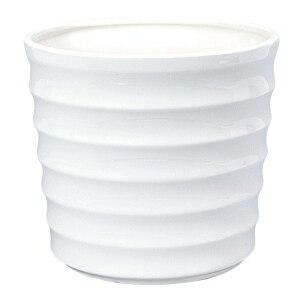 CeA |bgJo[ j[ILX L VCj[zCg(1)22cm iP212-cx1606-1) isj 6pJo[ fBXvC