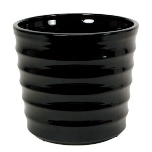 CeA |bgJo[ j[ILX L VCj[ubN(1)22cm iP212-cx1606-20) isj 6pJo[ fBXvC