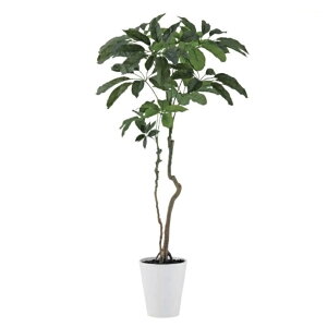 lHϗtA ubTCA 170cm 170cm iP209-dt91899) isj CeAO[ tFCNO[