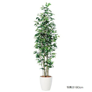 lHϗtA xW~X FST 150cm 150cm iP209-dt98649) isj CeAO[ tFCNO[