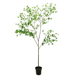 lHϗtA w[[ibc[t |bg 180cm iP194-fg300671) isj CeAO[ tFCNO[