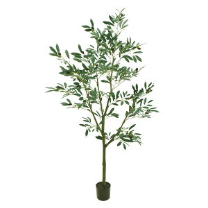 lHϗtA I[uc[|bg 5F 150cm iP200-fg3910) isj CeAO[ tFCNO[