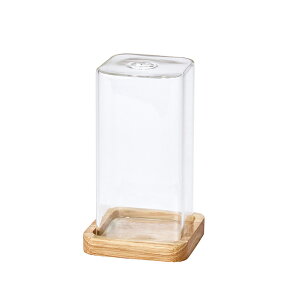 CeA Ԋ ԕr XNGA 12 SEVA 12.7cm iP310-gw531) isj x[X fBXvC