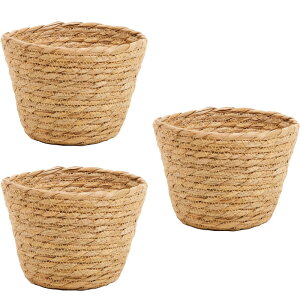 CeA |bgJo[ OXt[|bg _4p i`(3)12cm iP213-ka37640d) isj 4pJo[ fBXvC