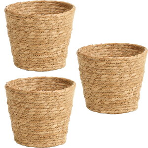 CeA |bgJo[ OXt[|bg _5p i`(3)16.5cm iP213-ka37650d) isj 5pJo[ fBXvC