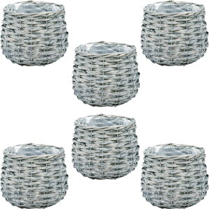 CeA |bgJo[ Vr[EB[Eh D3.5 O[(6)12cm iP213-kn11173) isj 3.5pJo[ fBXvC