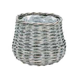 CeA |bgJo[ Vr[EB[Eh D5 CgO[(1)18cm iP213-kn11175) isj 5pJo[ fBXvC