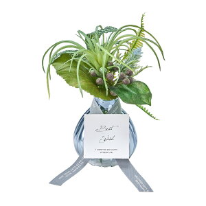 tFCNO[ u[P O[ A[eBtBVt[ 17cm iP223-za3008-24) isj t[AWg