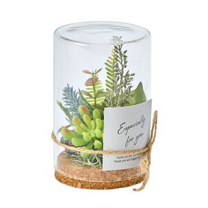 tFCNO[ KXV_[ M A[eBtBVt[ 12cm iP223-za3010) isj t[AWg