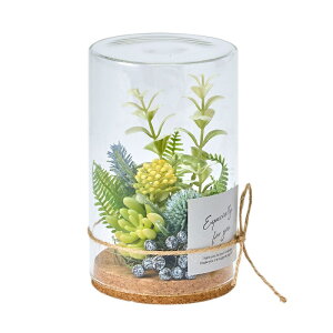 フェイクグリーン 多肉ガラスシリンダー L アーティフィシャルフラワー 高さ16cm (P223-za3011) (代引き不可) フラワーアレンジメント