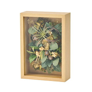 tFCNO[ O[t[ M A[eBtBVt[ 30cm iP222-za3026) isj t[AWg