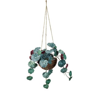 lHϗtA LmV^ nMO G}H 30cm iP189-zv2012) isj CeAO[ tFCNO[