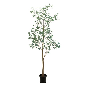 lHϗtA [Ju` |bg L G}H 210cm iP195-zv307772) isj CeAO[ tFCNO[