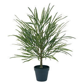 人工観葉植物 アラレア ミニポット 光触媒加工 高さ60cm （P192-zv3279) （代引き不可） インテリアグリーン フェイクグリーン