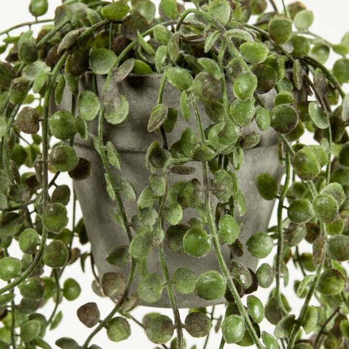 楽天市場】人工観葉植物 ワイヤープランツ ハンギングポット 光触媒 