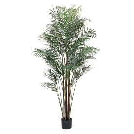 人工観葉植物 ワールドパーム ポット 光触媒加工 高さ180cm （P205-zv661) （代引き不可） インテリアグリーン フェイクグリーン