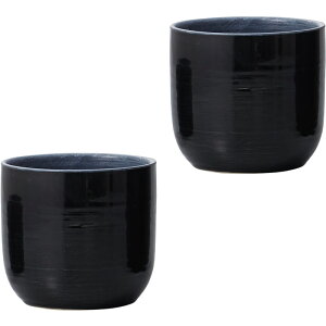 �ԕr �t�����[�x�[�X Ceramic Gift verite ���F���e black �i2����j [170-845-800] [p96] �X�g�[���E�F�A �i������s�j �C���e���A �f�B�X�v���C