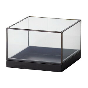ԕr t[x[X Glass Gift Petit Jardin mini veB W_ ~j black i1j [780-561-802] [p127] ^J isj CeA fBXvC