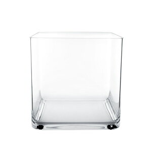 ԕr t[x[X Polycabonate PC dice s[V[_CX clear i1j [931-253-000] [p140] |J[{l[g isj CeA fBXvC