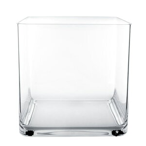 ԕr t[x[X Polycabonate PC dice s[V[_CX clear i1j [931-304-000] [p140] |J[{l[g isj CeA fBXvC