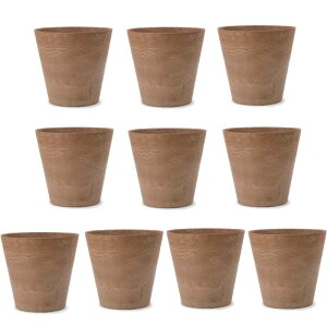 �ԁE�ϗt�A���p�|�b�g �A�[�g�X�g�[�� �R�j�b�N S 22 �u���E���i10����jar-001c22e [KTp225] ���^�|�b�g �i������s�j�z�e���E�I�t�B�X�r���E�X�� �G�N�X�e���A �C���e���A