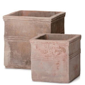 �ԁE�ϗt�A���p�|�b�g �e���A�X�g�� �J�y���L���r 2/SET/B M/S�iMS�e1����v2�Z�b�g�jas-fq6x2se [KTp239] ���E���Z�b�g �i������s�j�z�e���E�I�t�B�X�r���E�X�� �G�N�X�e���A �C���e���A