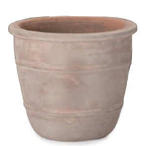 ԁEϗtAp|bg eAXg VEX S 12/Ai1jas-r32x12e [KTp239] ^|bg isjzeEItBXrEX GNXeA CeA