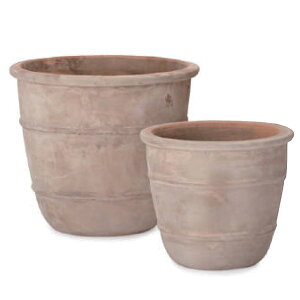 �ԁE�ϗt�A���p�|�b�g �e���A�X�g�� �V���E�X 2/SET/B M/S�iMS�e1����v2�Z�b�g�jas-r32x2se [KTp239] M�ES�Z�b�g �i������s�j�z�e���E�I�t�B�X�r���E�X�� �G�N�X�e���A �C���e���A