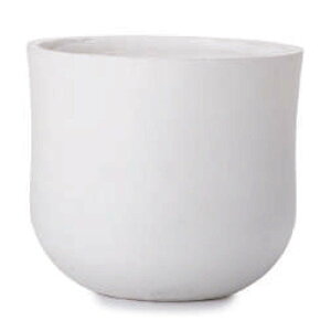 ԁEϗtAp|bg Aj CC S 32/Ai1jay-002w32n [KTp123] ^Jo[ isjzeEItBXrEX CeA GNXeA