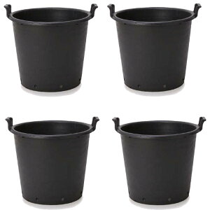 ԁEϗtAp|bg i[Z[|bg nht 70 ubNi4jbn-bb1k070 [KTp231] |pi isjzeEItBXrEX K[fjO