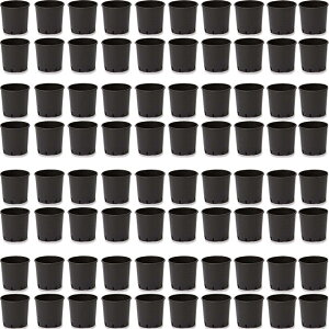 ԁEϗtAp|bg i[Z[|bg nhȂ 18 ubNi80jbn-bb2k018 [KTp231] |pi isjzeEItBXrEX K[fjO