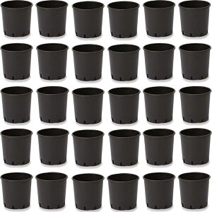 ԁEϗtAp|bg i[Z[|bg nhȂ 28 ubNi30jbn-bb2k028 [KTp231] |pi isjzeEItBXrEX K[fjO