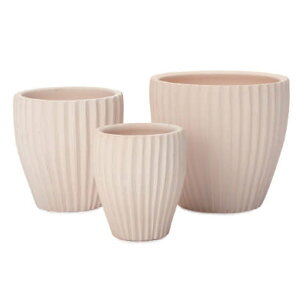 �ԁE�ϗt�A���p�|�b�g �C�[�V���[�Y E-36W ���y�ĕt 3/SET L/M/S�iLMS�e1����v3�Z�b�g�jes-e36w3se [KTp281] L�EM�ES�Z�b�g �i������s�j�z�e���E�I�t�B�X�r���E�X�� �G�N�X�e���A �K�[�f��